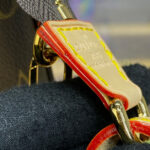 Louis Vuitton Pochette Accessoires M82766 Brown